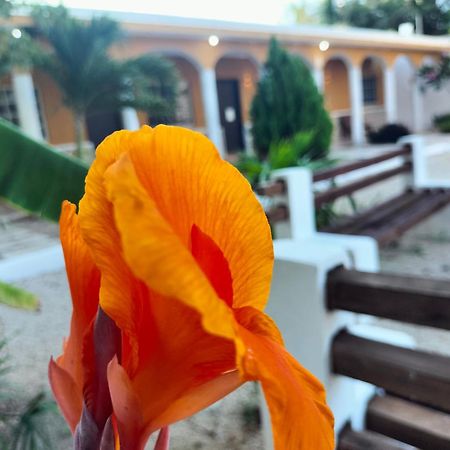Villa Gabriela Celestun -Hotel & Restaurant Dış mekan fotoğraf