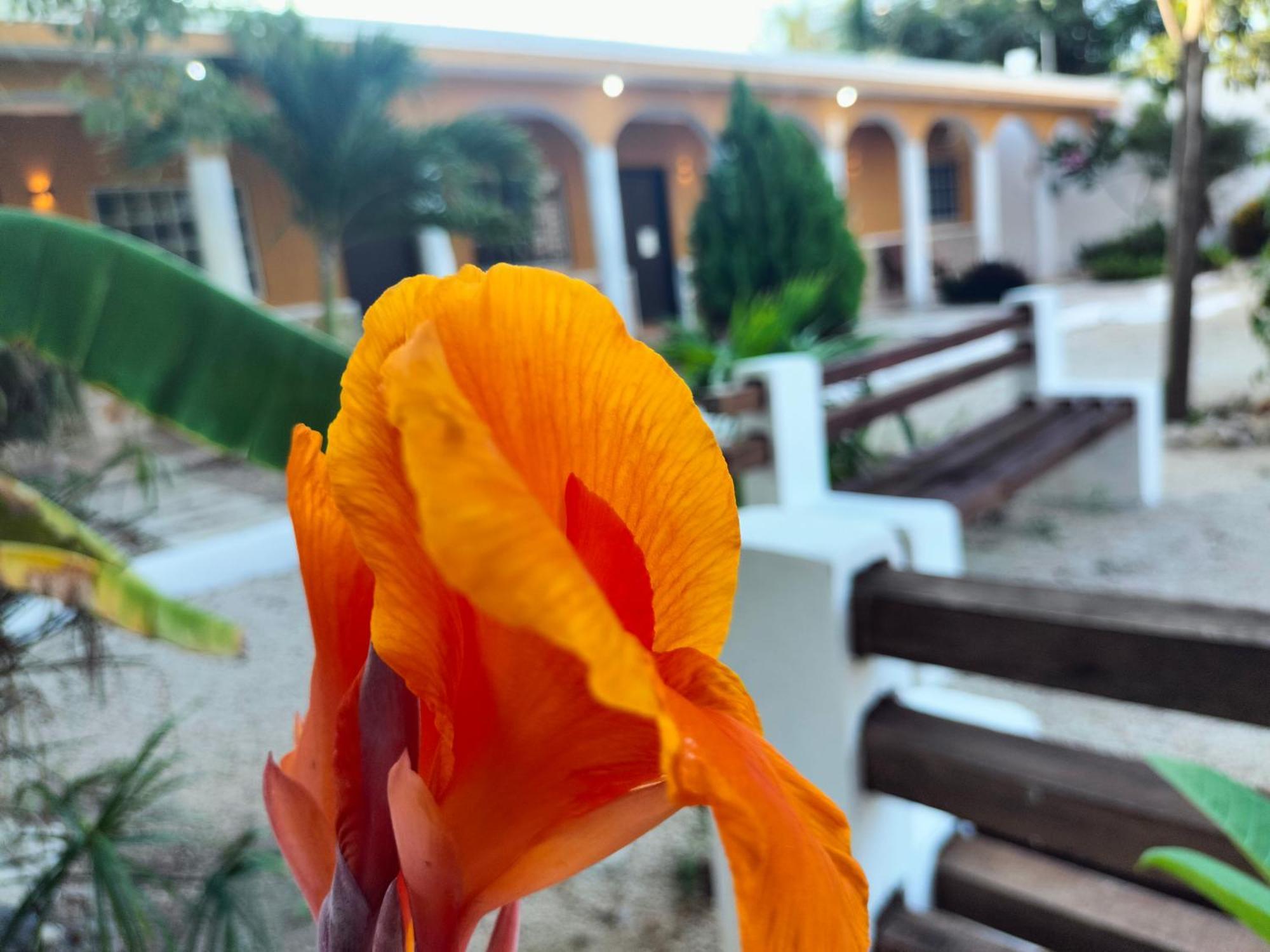 Villa Gabriela Celestun -Hotel & Restaurant Dış mekan fotoğraf