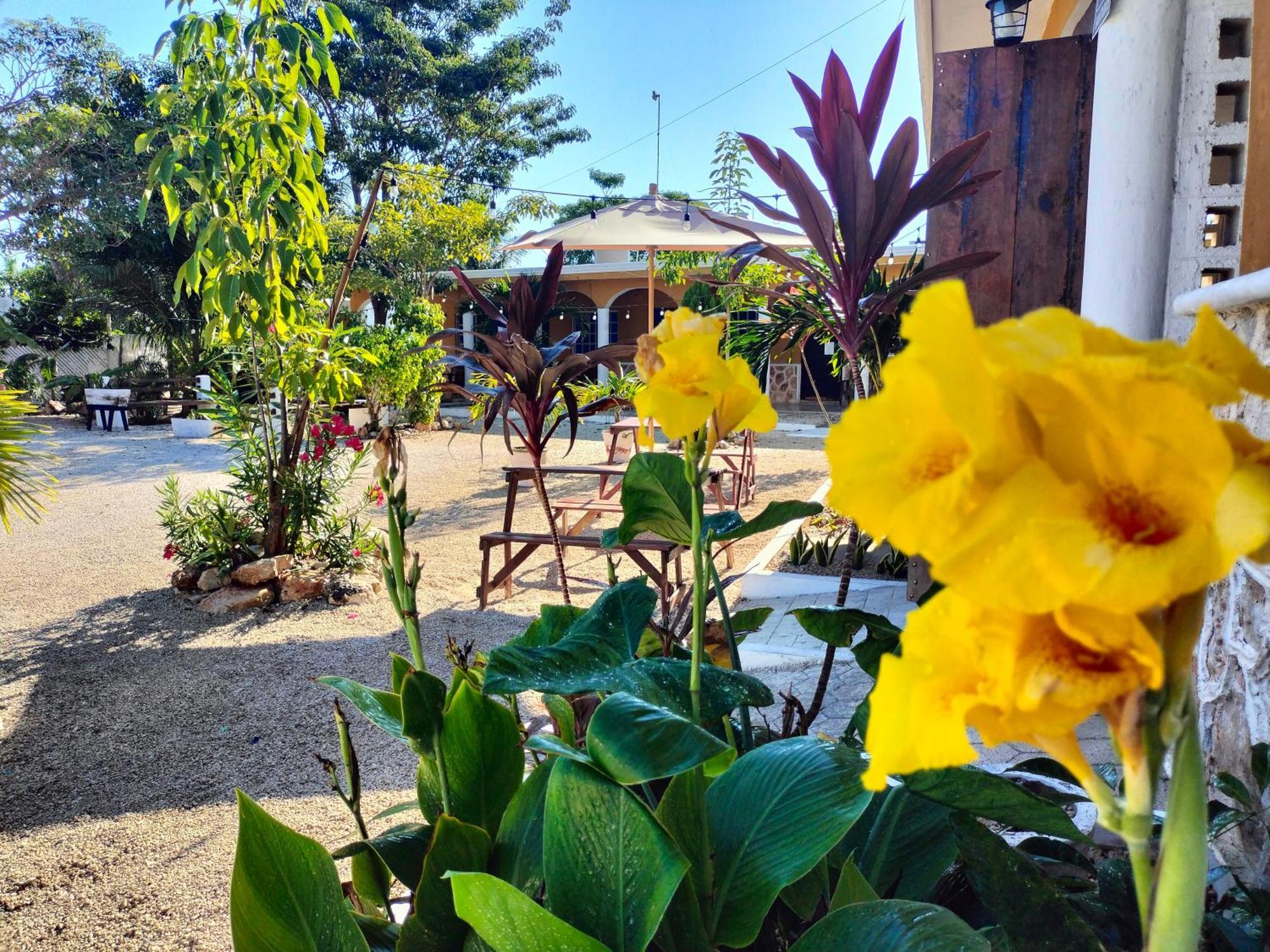 Villa Gabriela Celestun -Hotel & Restaurant Dış mekan fotoğraf